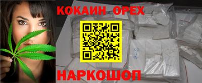 альфа пвп Новодвинск