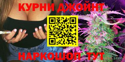 альфа пвп Новодвинск