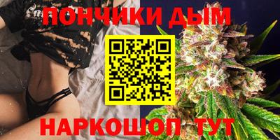 альфа пвп Новодвинск