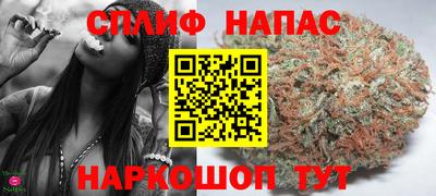 альфа пвп Новодвинск