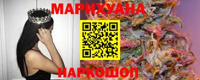 альфа пвп Новодвинск