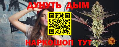 альфа пвп Новодвинск