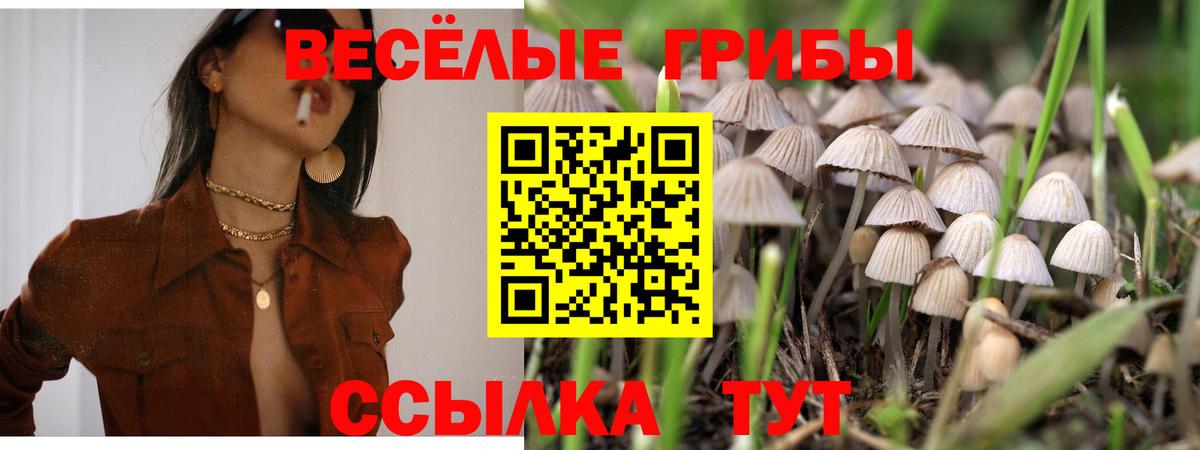 Псилоцибиновые грибы Psilocybe  Псилоцибиновые грибы MAGIC MUSHROOMS  Вход с VPN  Пушкино 